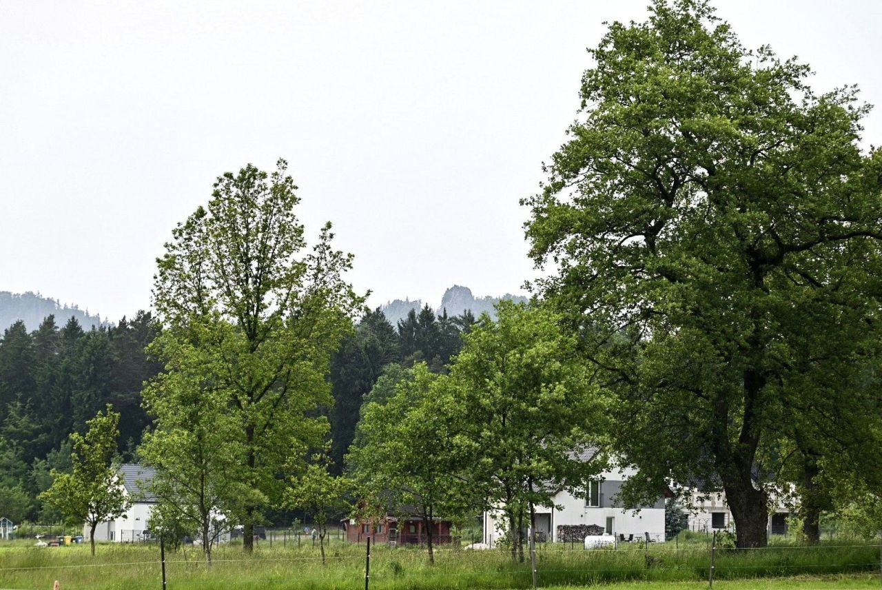 Działka budowlana Janowice Wielkie, ul. Polna. Zdjęcie 4