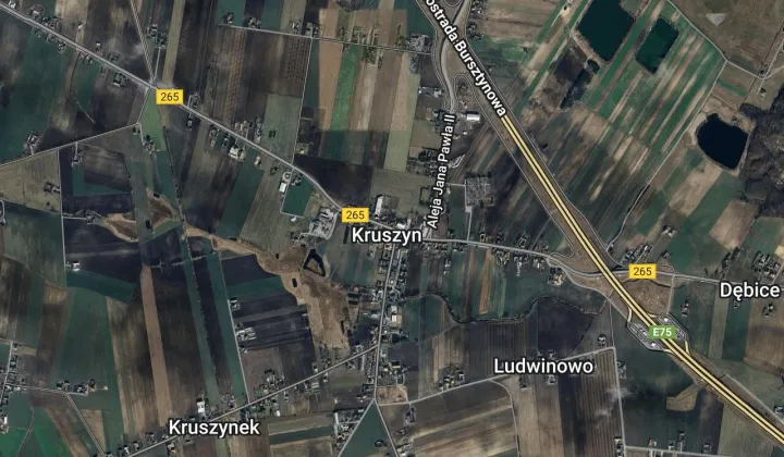 Garaż/miejsce parkingowe Włocławek, ul. Ziębia