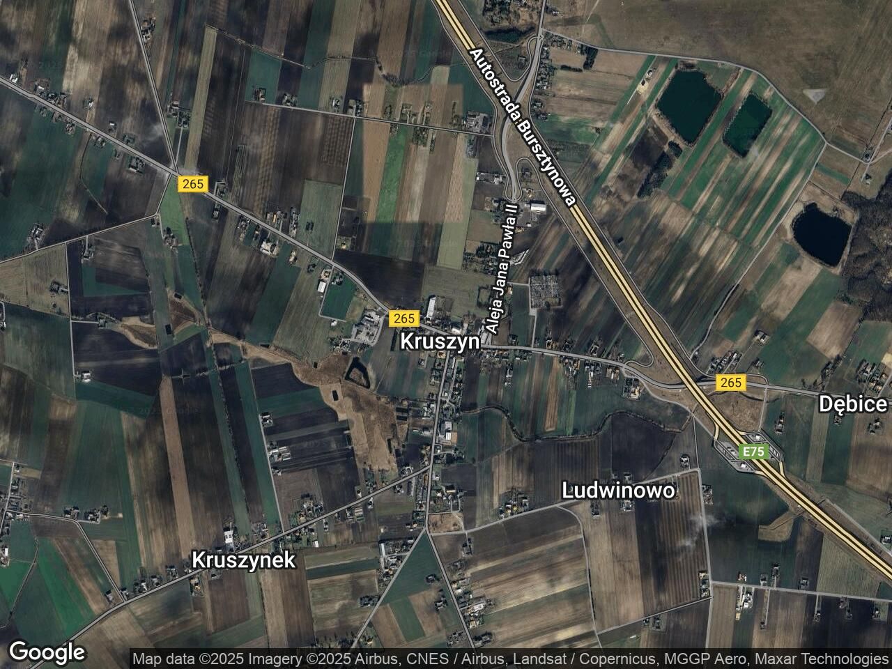 Garaż/miejsce parkingowe Włocławek, ul. Ziębia