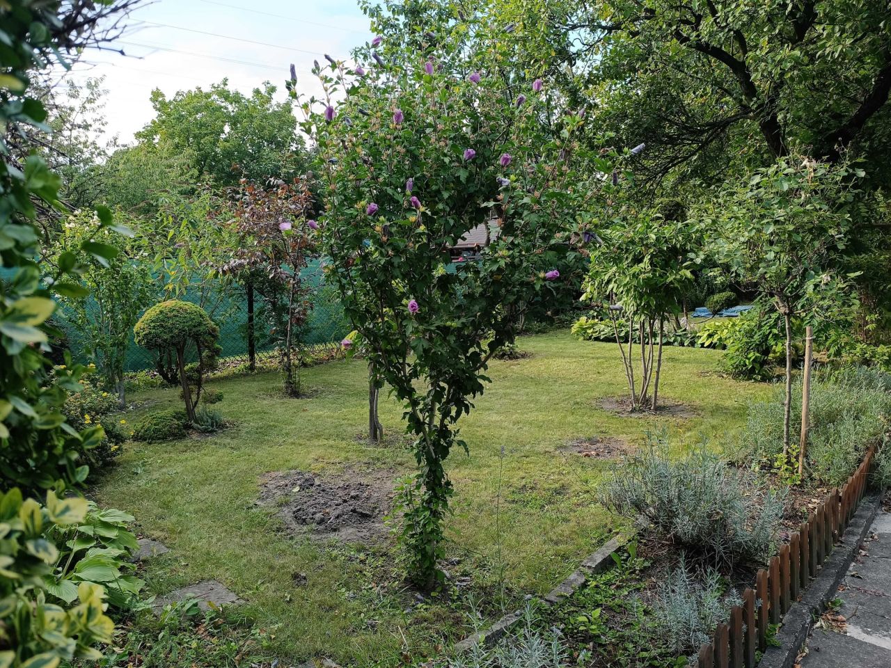 Działka rod Bytom Szombierki, ul. Zabrzańska. Zdjęcie 6