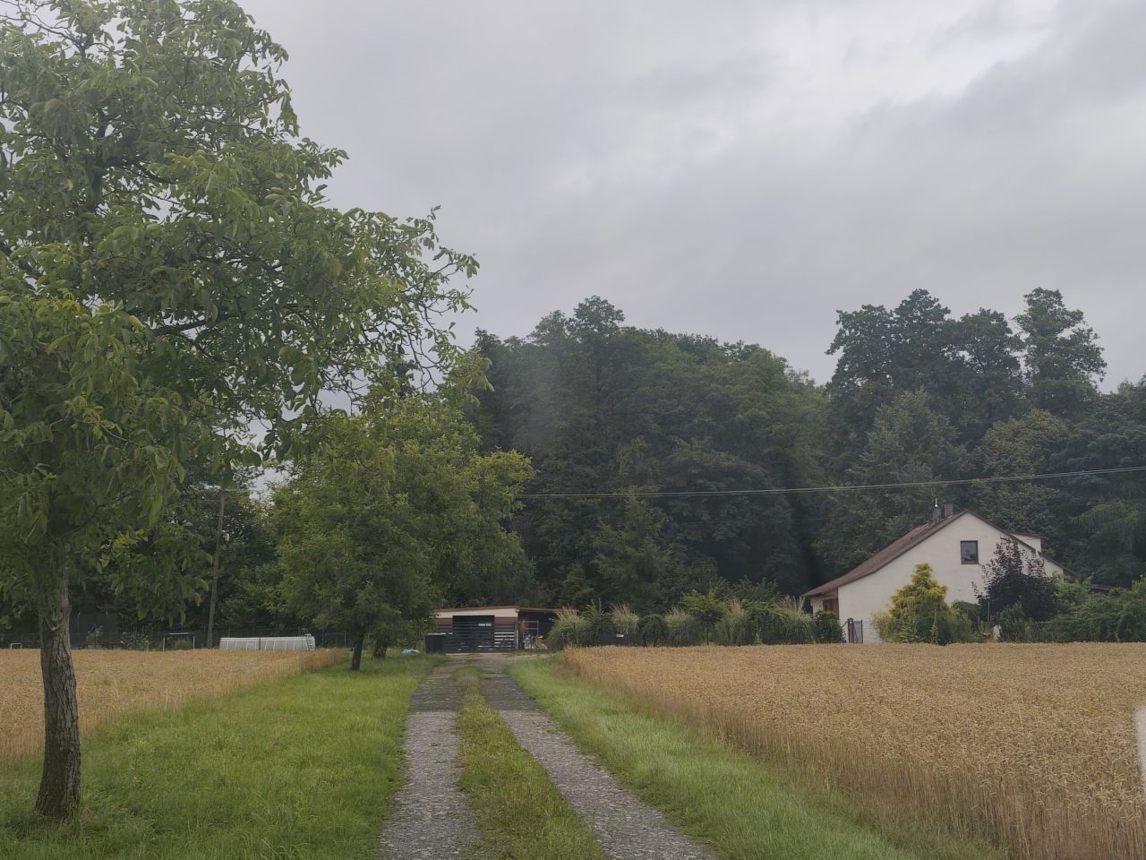 dom wolnostojący, 3 pokoje Ochaby Wielkie Podbór, ul. Podbór. Zdjęcie 9