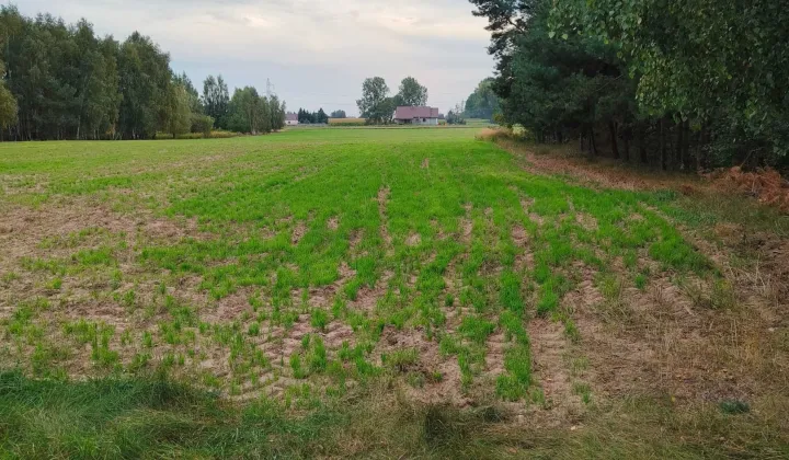 Działka budowlana Strachowo