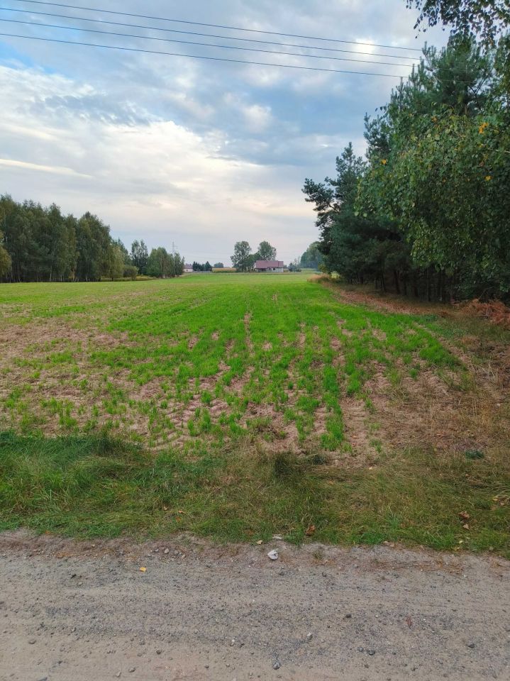 Działka budowlana Strachowo. Zdjęcie 1