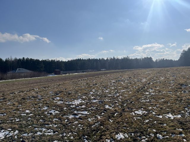 Działka budowlana Kletnia, ul. Wschodnia. Zdjęcie 5