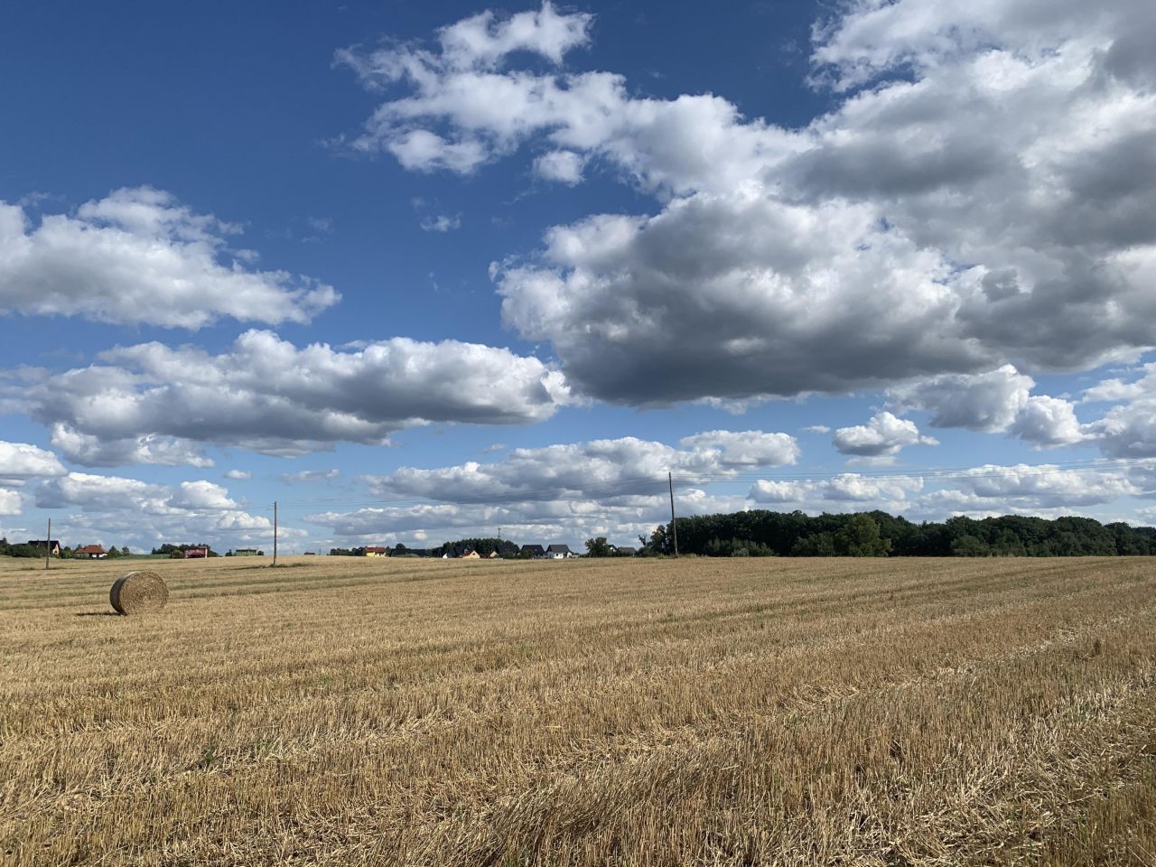 Działka budowlana Wińsko, ul. Wincentego Witosa. Zdjęcie 4