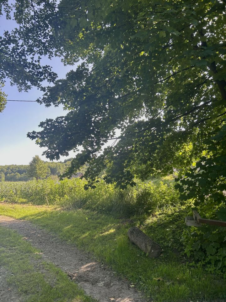 Działka rolna Giebułtów Podwikle, ul. Olszynowa. Zdjęcie 3