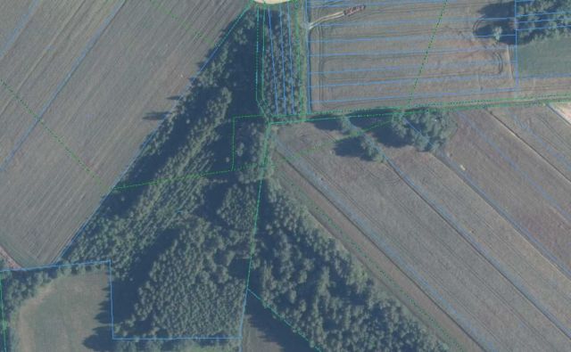 Działka rolna Strzyżew. Zdjęcie 1