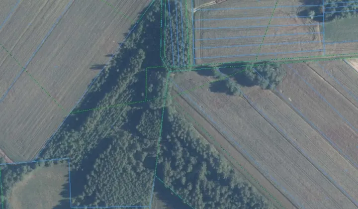 Działka rolna Strzyżew