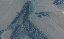 Działka rolna Strzyżew