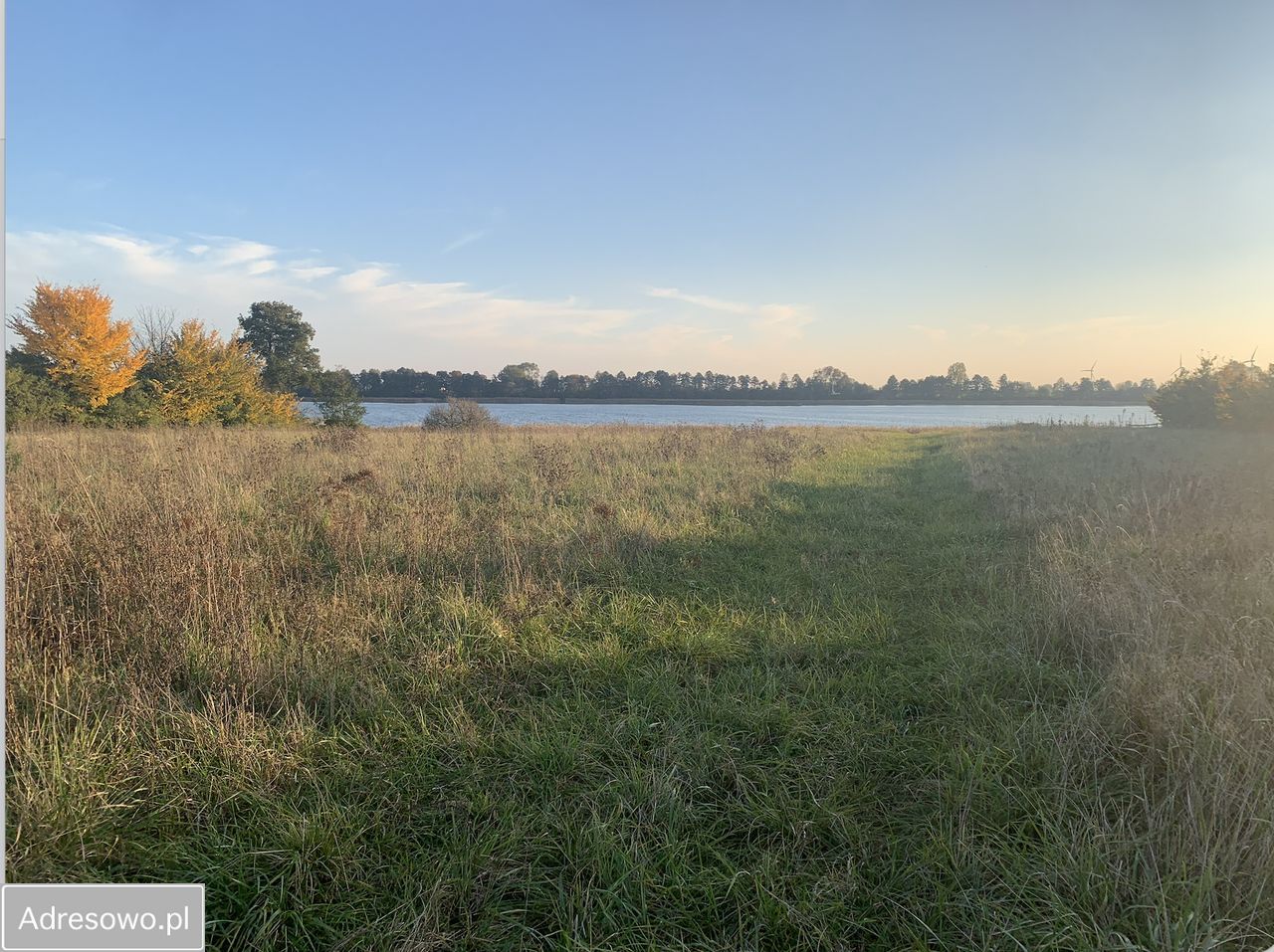 Działka rolno-budowlana Chalin. Zdjęcie 1