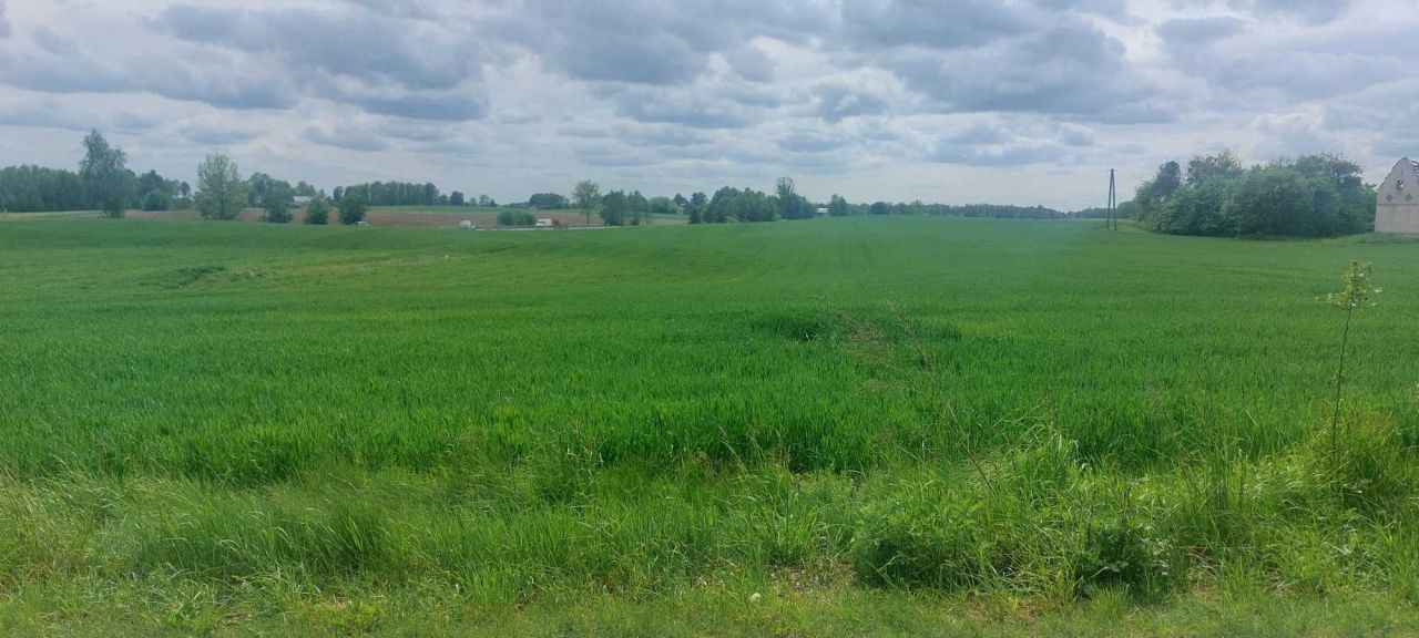 Działka rolno-budowlana Żarnowo Pierwsze