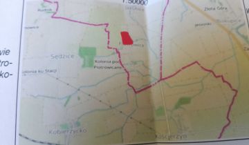 Działka rolna Piotrowice