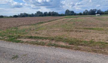 Działka budowlana Białobrzegi, Białobrzegi