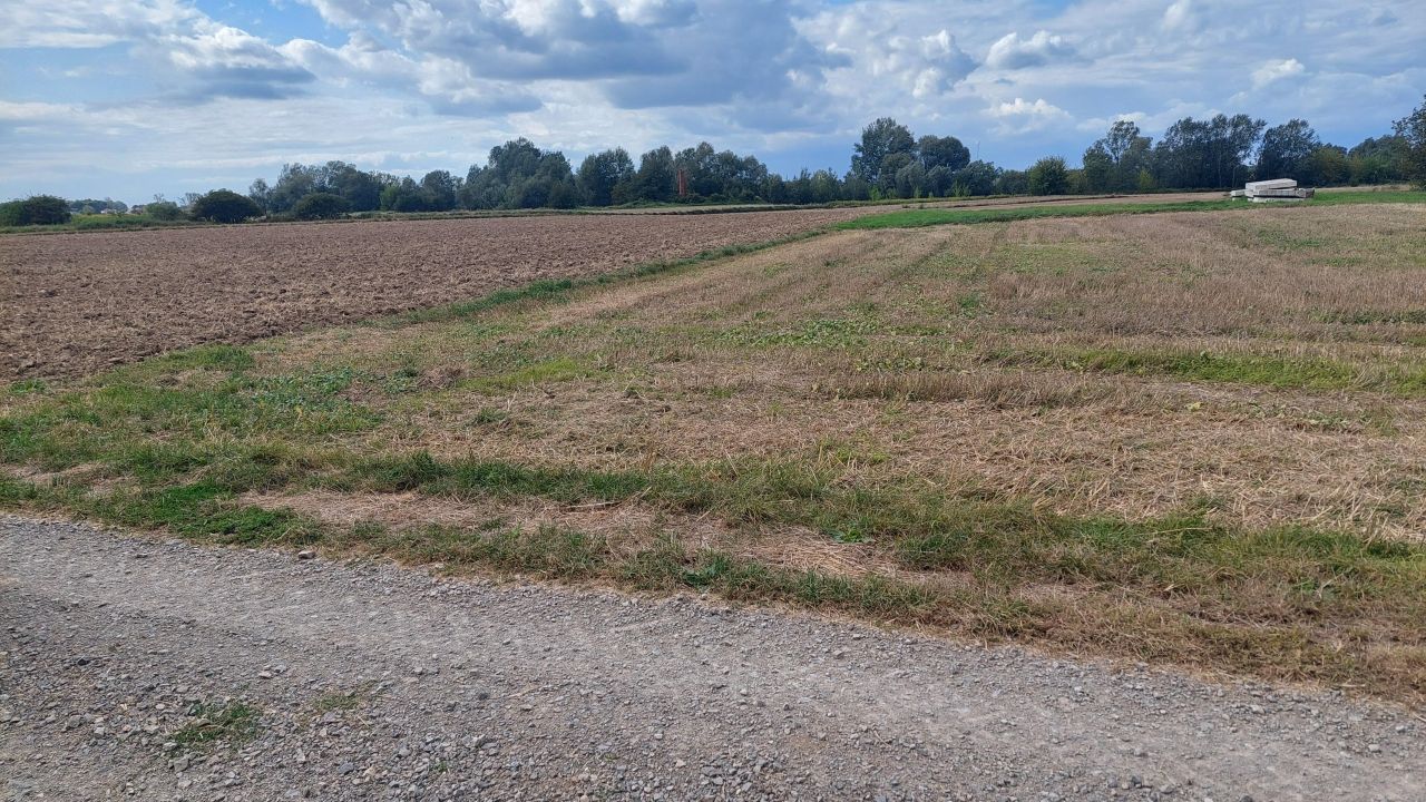 Działka budowlana Białobrzegi. Zdjęcie 2