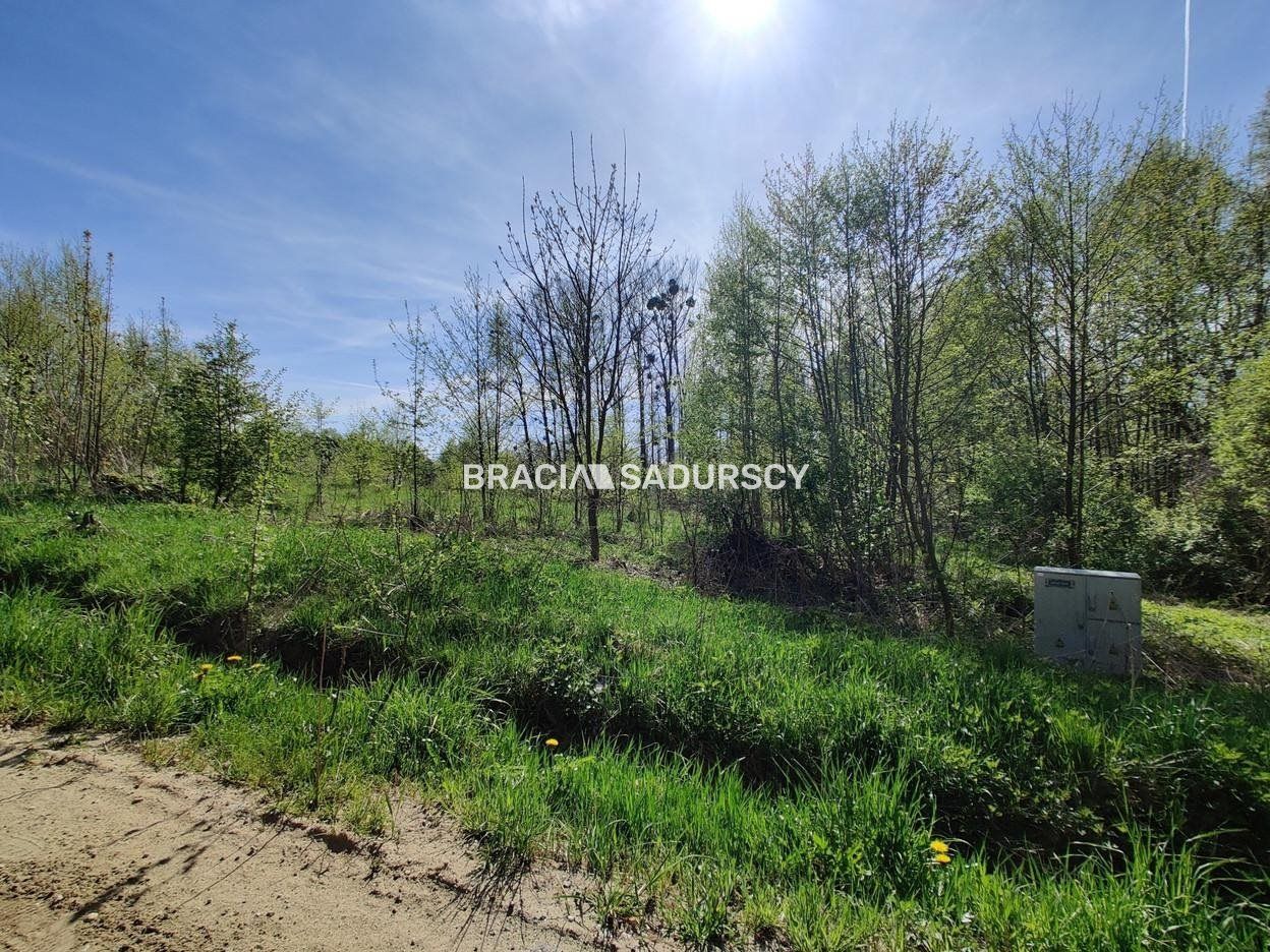 Działka rekreacyjna Łukta. Zdjęcie 15
