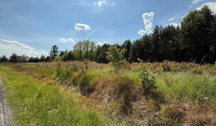 Działka rolno-budowlana Kameduły