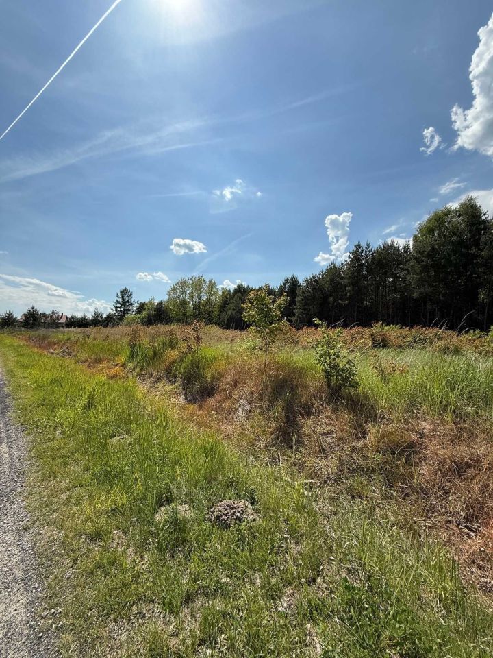 Działka rolno-budowlana Kameduły. Zdjęcie 1