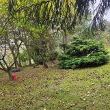 dom letniskowy Lubiszewice. Zdjęcie 2