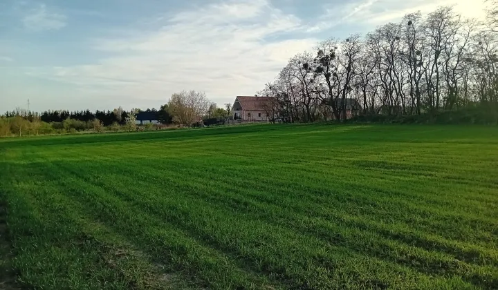Działka inwestycyjna Binowo