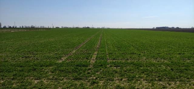 Działka rolno-budowlana Płock Trzepowo, ul. Bielska. Zdjęcie 18