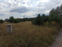 Działka budowlana Biała. Zdjęcie 1