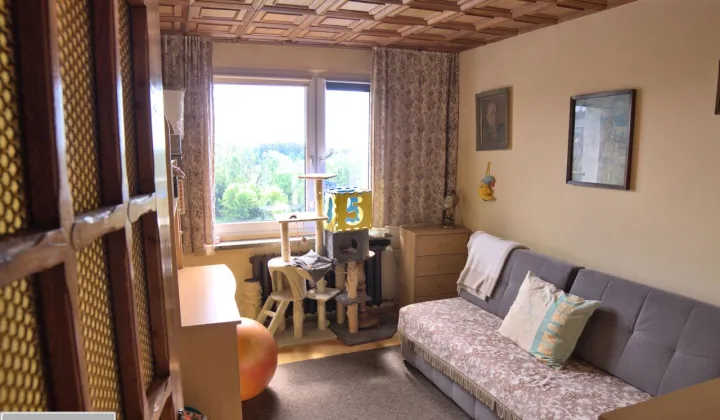 Mieszkanie 3-pokojowe Sosnowiec Centrum, ul. Naftowa