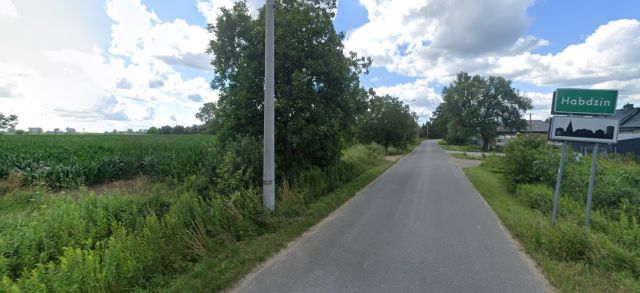 Działka siedliskowa Łęg. Zdjęcie 12