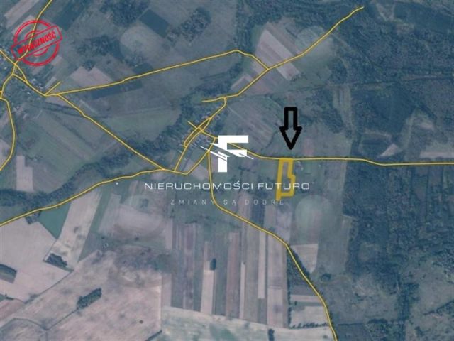 Działka rolna Modrzewo. Zdjęcie 10