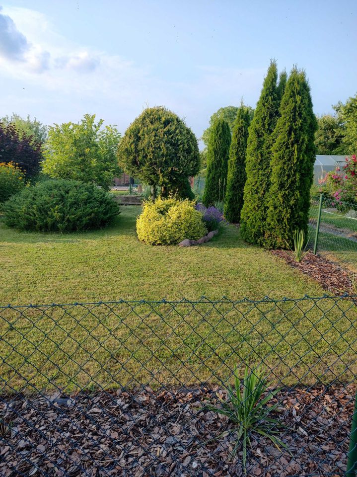 Działka rod Świdnik. Zdjęcie 6