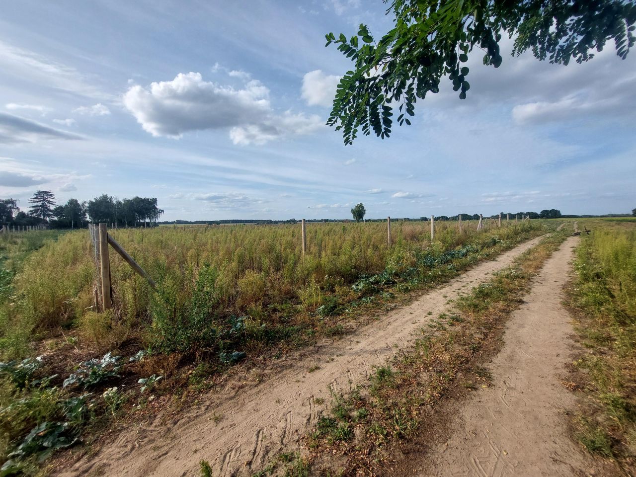 Działka budowlana Gortatowo Gortatowo-Huby, ul. Daleka. Zdjęcie 3