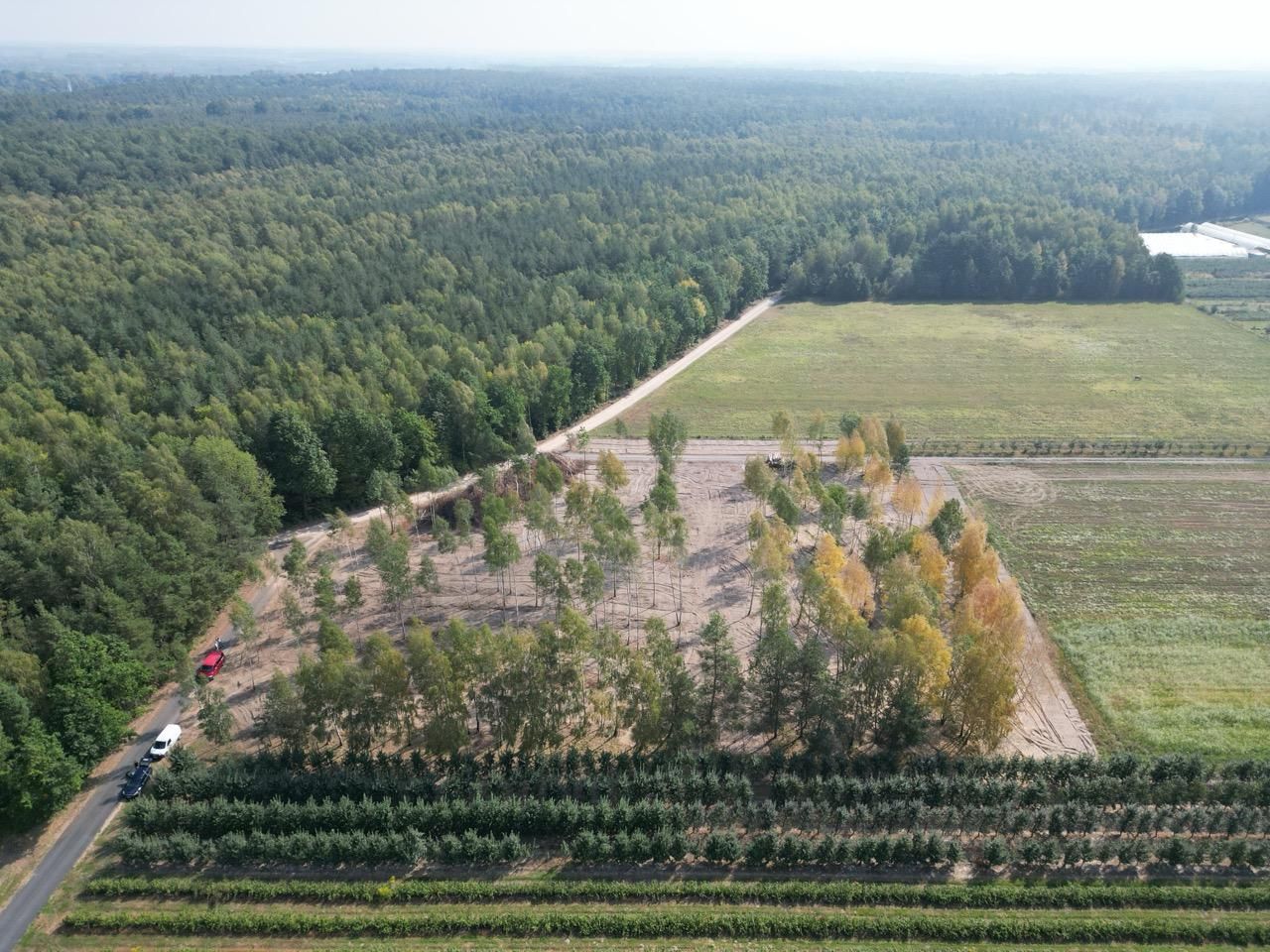 Działka budowlana Zimnice, ul. Janusza Kusocińskiego. Zdjęcie 5