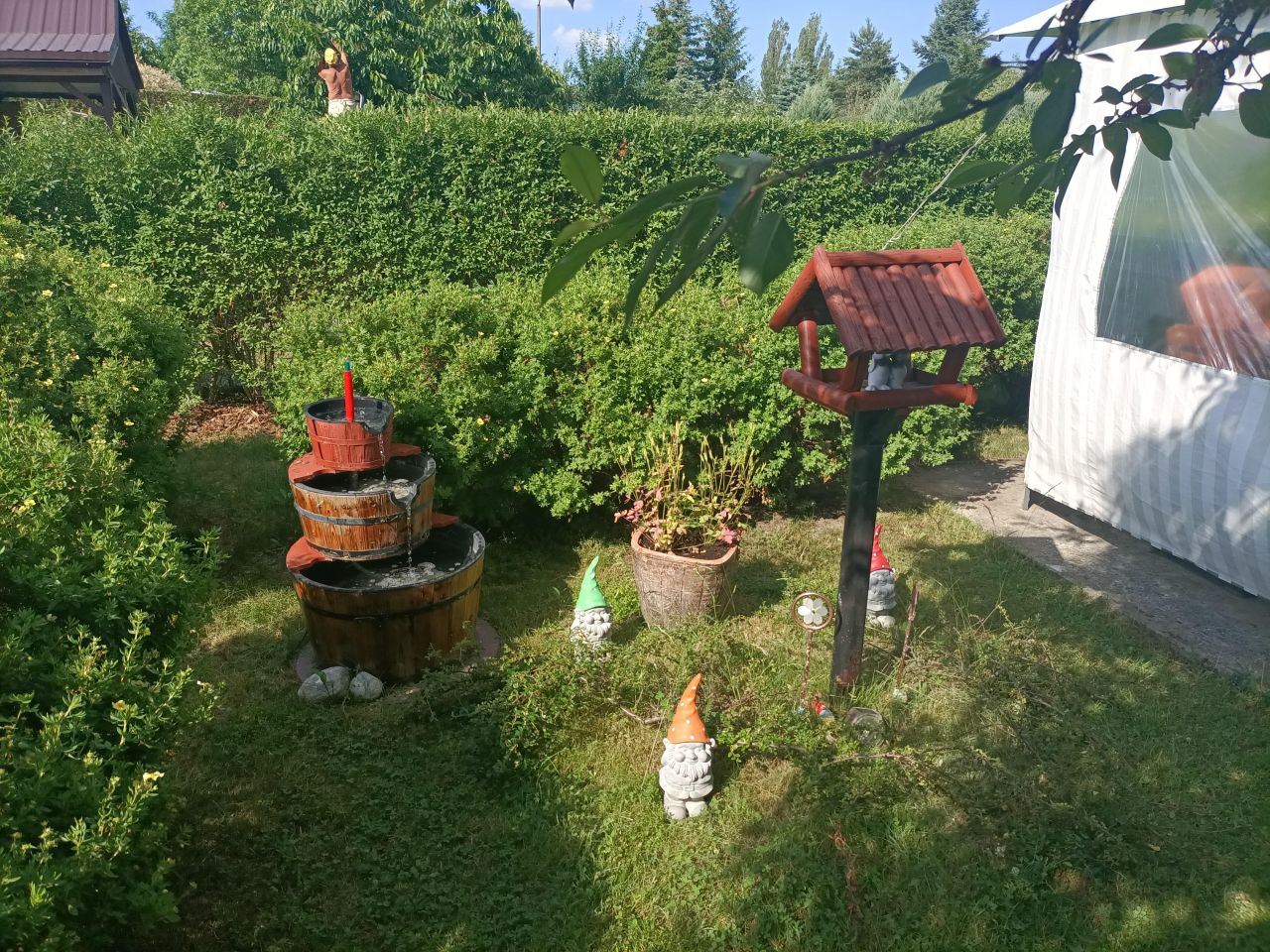 Działka rod Łódź Górna, ul. Lodowa. Zdjęcie 7