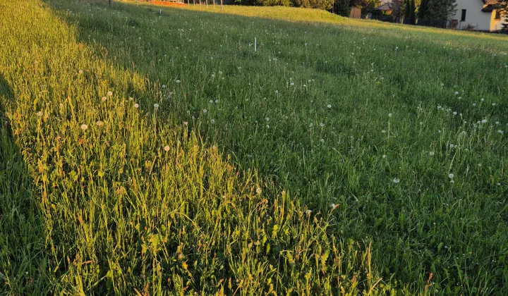 Działka budowlana Nowy Targ Nowe, os. Nowe