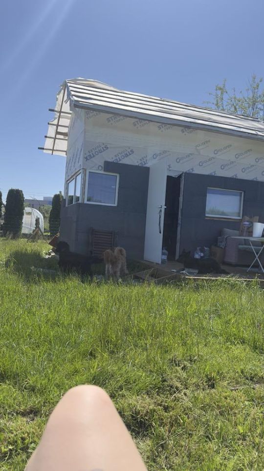 Działka rod Gdynia Chylonia, ul. Handlowa