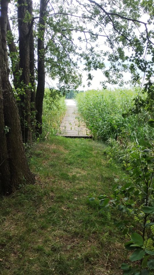 Działka budowlana Słupia. Zdjęcie 8