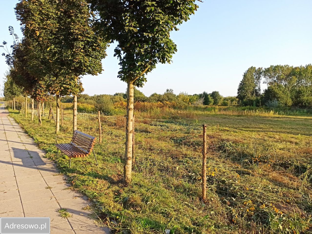 Działka budowlana Warszawa Wawer, ul. Skalnicowa. Zdjęcie 10