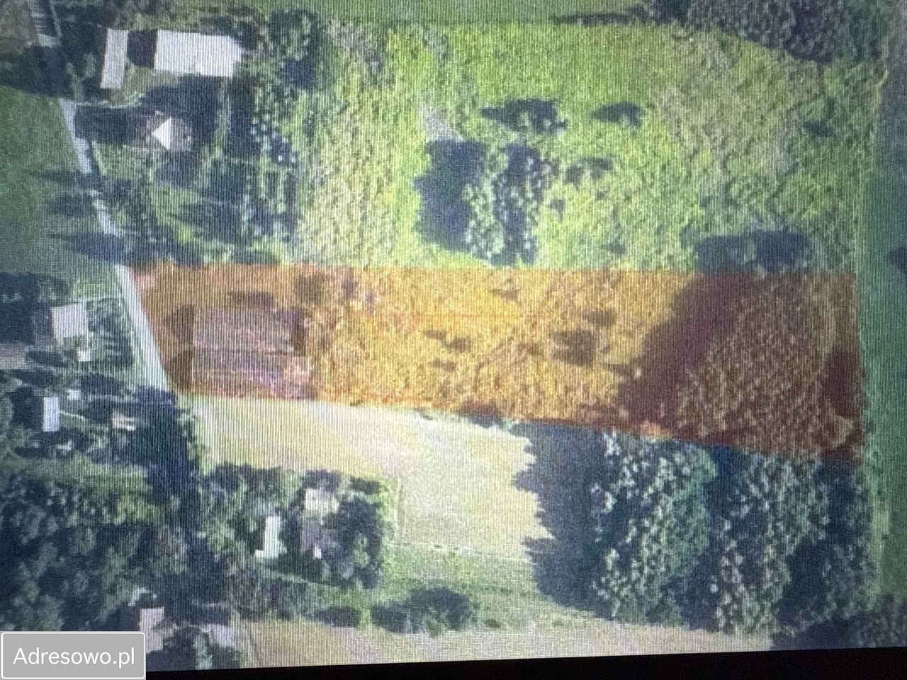 Działka rolno-budowlana Dębno. Zdjęcie 1