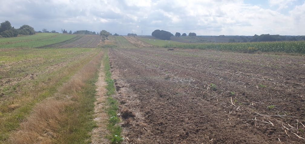 Działka budowlana Tarnowskie Góry, ul. Konduktorska. Zdjęcie 5