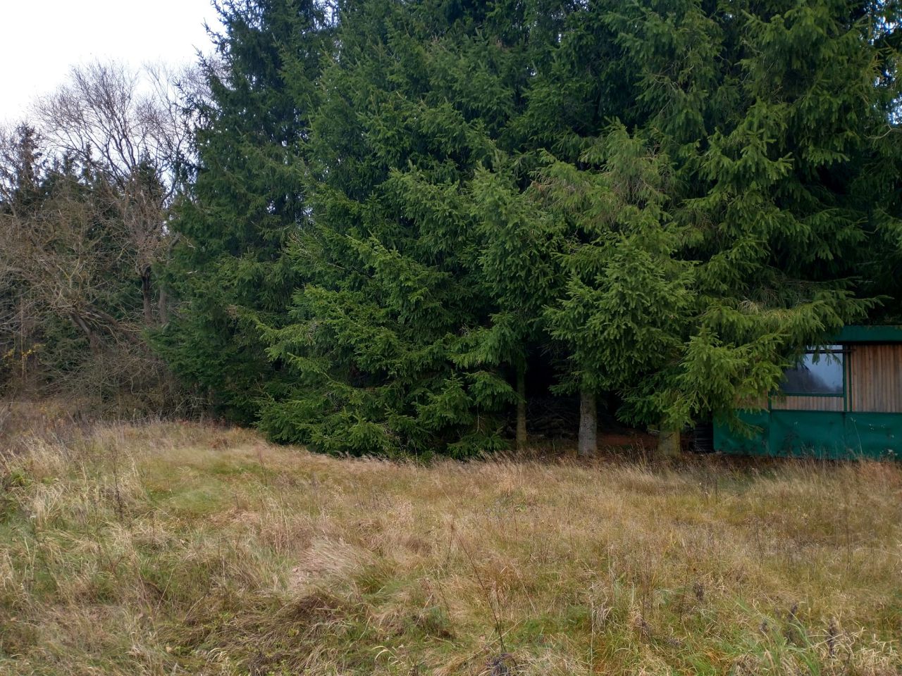 Działka rolna Ługi. Zdjęcie 18