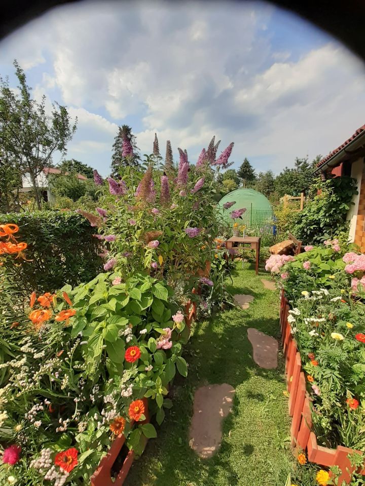 Działka rod Niekanin, Janiska. Zdjęcie 26