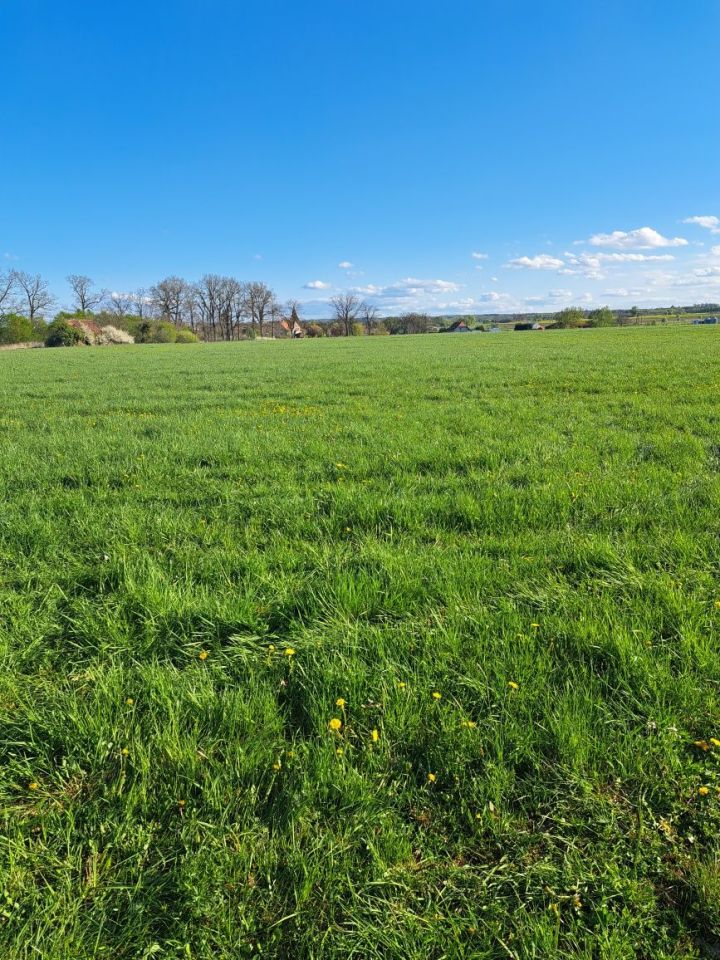 Działka rolno-budowlana Dobry. Zdjęcie 6
