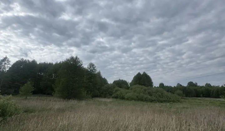 Działka rolna Kotuń, ul. Romany