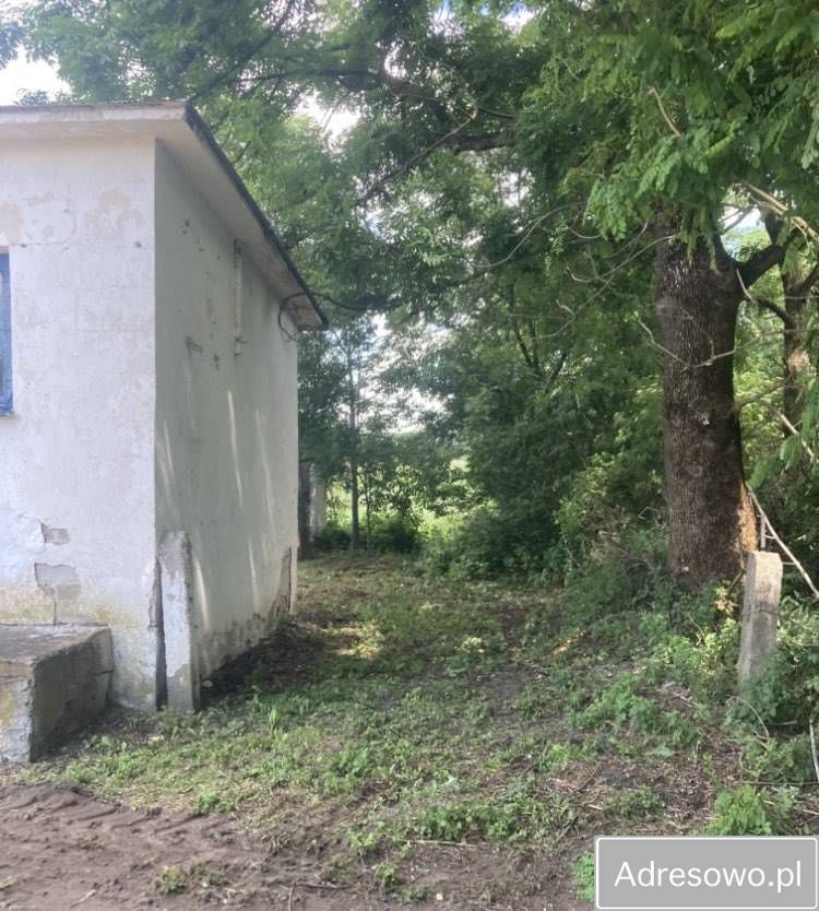 Działka inwestycyjna Kobyla. Zdjęcie 10
