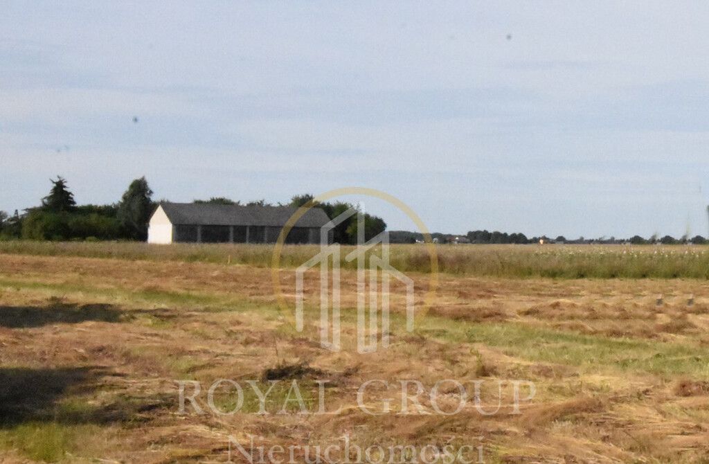 Działka siedliskowa Siedliska. Zdjęcie 4