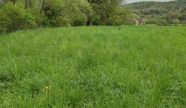 Działka rolna Dobra