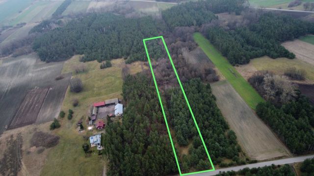 Działka leśna Mogielnica. Zdjęcie 1