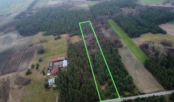 Działka leśna Mogielnica