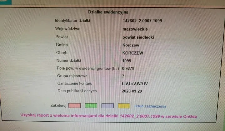 Działka rolna Korczew