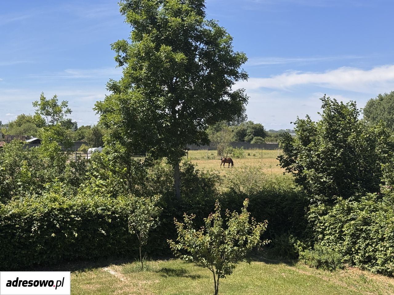 dom wolnostojący, 3 pokoje Sobienie Biskupie. Zdjęcie 15