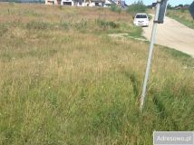 Działka inwestycyjna Paszowice. Zdjęcie 3